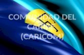 COMUNIDAD DEL CARIBE  (CARICOM)