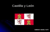 Castilla  y  León