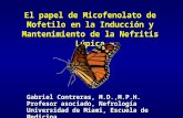 El papel de Micofenolato de Mofetilo en la Inducci ó n y Mantenimiento de la Nefritis L ú pica