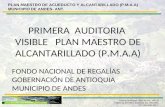 PLAN MAESTRO DE ACUEDUCTO Y ALCANTARILLADO (P.M.A.A) MUNICIPIO DE ANDES- ANT.