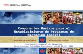 Componentes Basicos para el Establecimiento de Programas de Migración Laboral