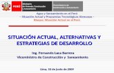 SITUACIÓN ACTUAL, ALTERNATIVAS Y ESTRATEGIAS DE DESARROLLO