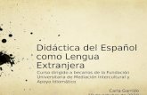Didáctica del Español como Lengua Extranjera