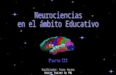 Neurociencias en el ámbito Educativo