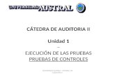 CÁTEDRA DE AUDITORIA II Unidad  1  –  EJECUCIÓN DE LAS PRUEBAS PRUEBAS DE CONTROLES