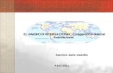 EL DIVORCIO INTERNACIONAL: Competencia Judicial Internacional
