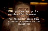 Los primates y la evolución humana.
