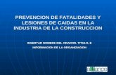 PREVENCION DE FATALIDADES Y LESIONES DE CAIDAS EN LA INDUSTRIA DE LA CONSTRUCCION