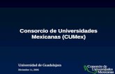 Consorcio de Universidades Mexicanas (CUMex)