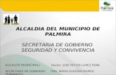 ALCALDIA DEL MUNICIPIO DE PALMIRA SECRETARIA DE GOBIERNO  SEGURIDAD Y CONVIVENCIA