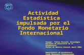 Actividad Estadística  impulsada por el Fondo Monetario Internacional