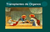 Transplantes de Organos