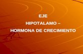 EJE  HIPOTALAMO –  HORMONA DE CRECIMIENTO