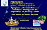 FEDECACES Federación de Asociaciones Cooperativas de Ahorro y Crédito De El Salvador de R.L.
