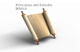 Principios del Estudio Bíblico