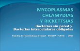 MYCOPLASMAS CHLAMYDIAS  Y RICKETTSIAS
