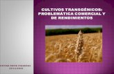 CULTIVOS TRANSGÉNICOS: PROBLEMÁTICA COMERCIAL Y DE RENDIMIENTOS
