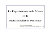 La Espectrometria de Masas en la Identificación de Proteinas