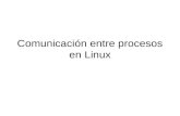 Comunicación entre procesos en Linux