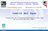 Comité del Agua “Planeación de la Gestión Multiobjetivo del Agua en la Cuenca del Río Yaqui”