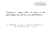 “ Aportes a la seguridad alimentaria del país desde la Altillanura Colombiana”