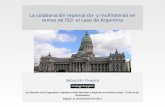 La colaboración regional (bi- y multilateral) en temas de ISD: el caso de Argentina