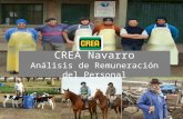 CREA Navarro Análisis de Remuneración del Personal