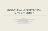 BIOQUÍMICA EXPERIMENTAL  Semestre 2010-2
