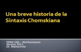 Una breve historia de la Sintaxis Chomskiana