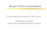 Ricardo Morales Vargas, M. Ing. Quím. Ministerio de Salud Dirección de Regulación de la Salud