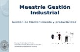Maestría Gestión Industrial