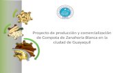 Proyecto de producción y comercialización de Compota de Zanahoria Blanca en la ciudad de Guayaquil