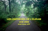 LES EMPRESES DE L’EURAM UCE 2008 Oriol Amat, UPF