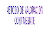 METODO DE VALORACION  CONTINGENTE