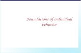 Foundations of individual behavior