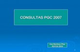 CONSULTAS PGC 2007