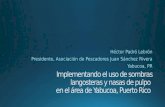 Héctor  Padró  Lebrón Presidente, Asociación de Pescadores Juan Sánchez Rivera Yabucoa , PR