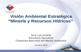 Visión Ambiental Estratégica “Minería y Recursos Hídricos” Ana Lya Uriarte Directora Ejecutiva