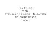 Ley 19.253 sobre  Protección Fomento y Desarrollo de los Indígenas (1993)