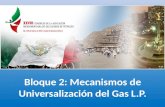 Bloque 2: Mecanismos de Universalización del Gas L.P.