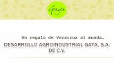 DESARROLLO AGROINDUSTRIAL GAYA, S.A. DE C.V.