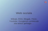 Web soziala