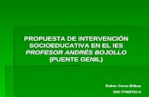 PROPUESTA DE INTERVENCIÓN SOCIOEDUCATIVA EN EL IES  PROFESOR ANDRÉS BOJOLLO  (PUENTE GENIL)