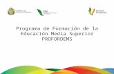 Programa de Formación de la Educación Media Superior PROFORDEMS