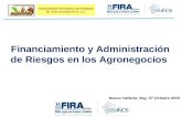 Financiamiento y Administración de Riesgos en los Agronegocios