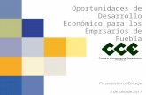 Oportunidades de Desarrollo Económico para los Emprsarios de Puebla Presentación al Consejo