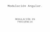 Modulación Angular .