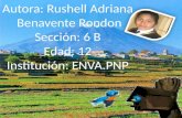 Autora: Rushell Adriana  Benavente Rondon Sección: 6 B Edad : 12 Institución: ENVA.PNP