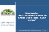 Seminario   “Núcleo-electricidad en Chile: Cuán lejos, Cuán cerca”