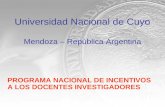 Universidad Nacional de Cuyo Mendoza – República Argentina